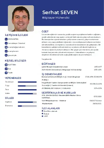 Bilgisayar Mühendisi CV Örnekleri cv indir